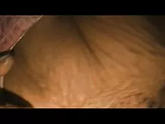 Rosyjskie darmowe filmy ostry sex cycki rzucone z orgazmicznym wibratorem